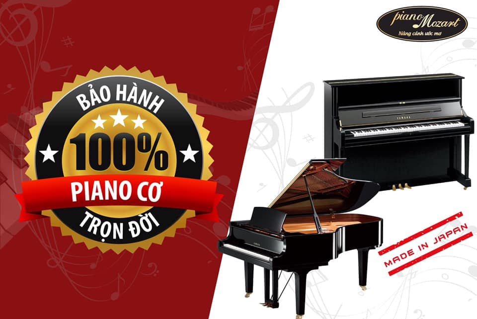 Cho thuê đàn piano