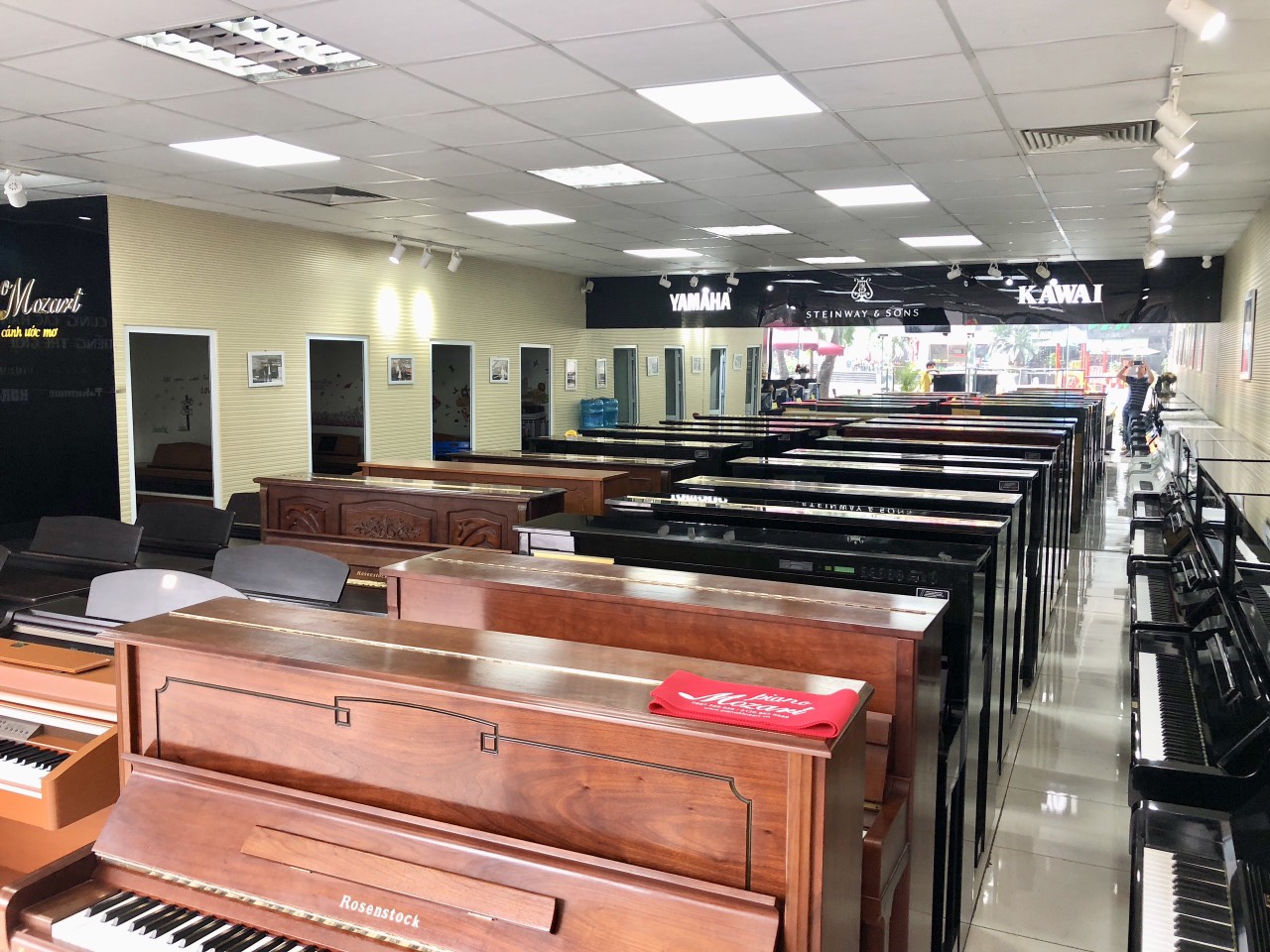 Gỗ gụ hay gỗ phong cứng? Loại gỗ nào tốt nhất cho cây đàn piano của bạn