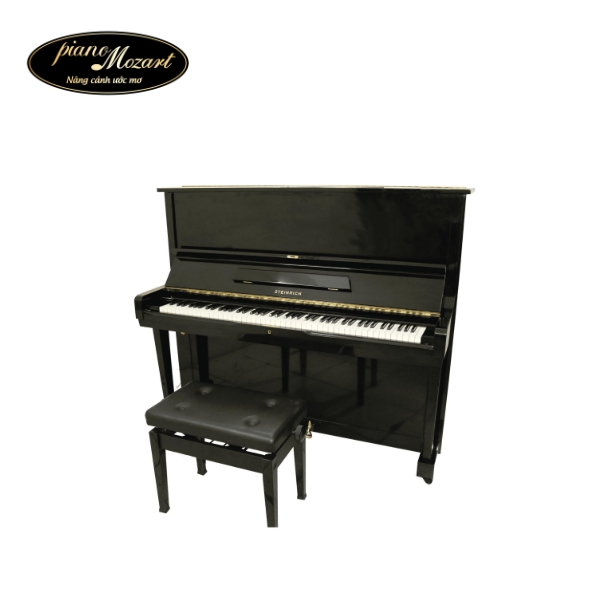 Đàn Piano Steinrich