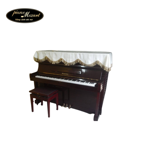 Đàn Piano Morgenstern