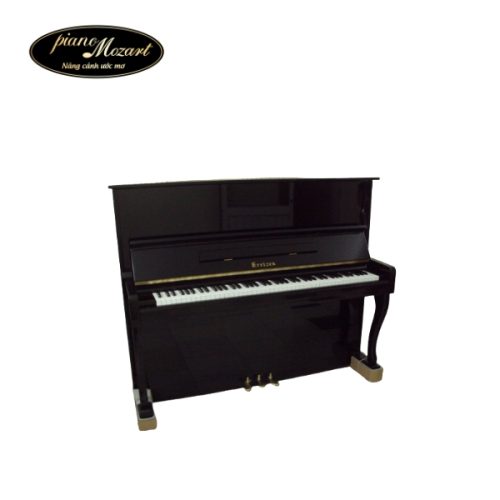 Piano Ereizen