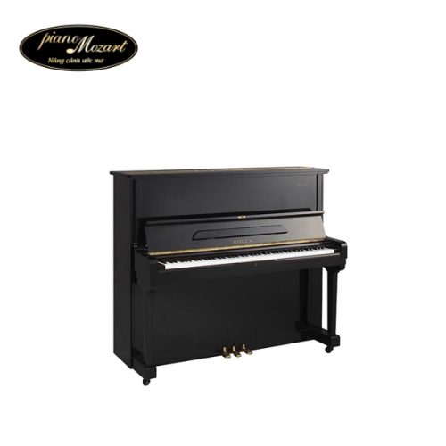 Đàn Piano Rolex