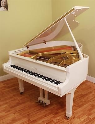 GRAND PIANO TRẮNG – ƯỚC MƠ TRONG TẦM TAY