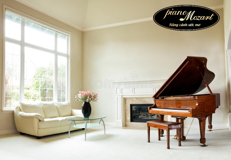 Đàn Grand piano – điểm nhấn không gian nổi bật và sang trọng