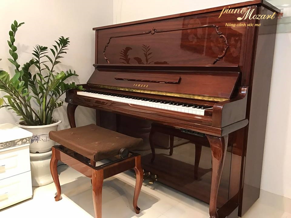 Nên chọn đàn piano điện Yamaha hay Casio cho người mới học??
