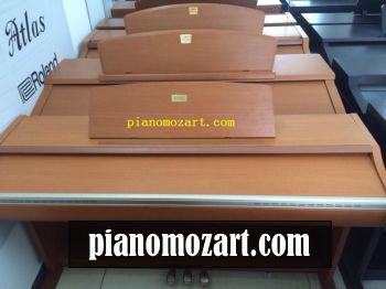 DANH SÁCH ĐÀN PIANO ĐIỆN MỚI NHẤT VỀ 15/03/2015