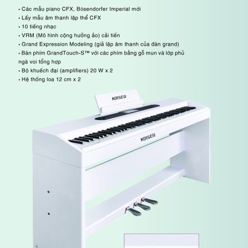 Tủ đựng thiết bị âm thanh chuyên dụng 12U