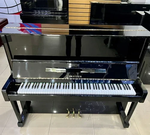 PIANO EREIZEN 220E
