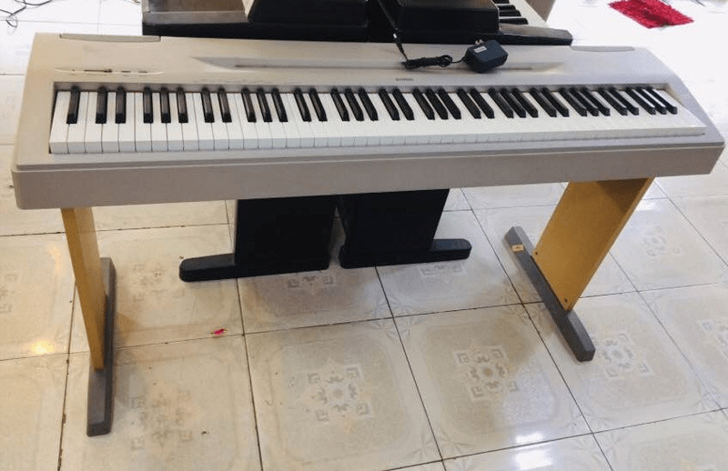 YAMAHA P60