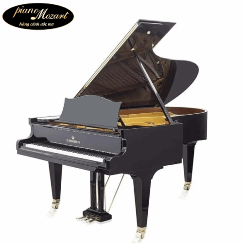 Grand Piano C.Bechstein SAP5874