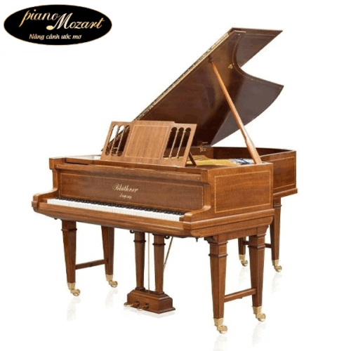 Grand Piano Bluthner Twins