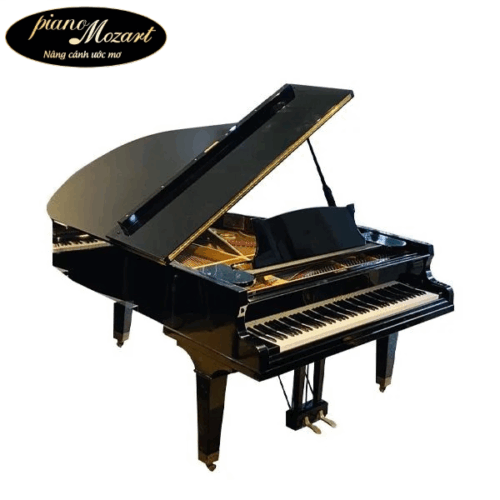 Grand Piano Apollo