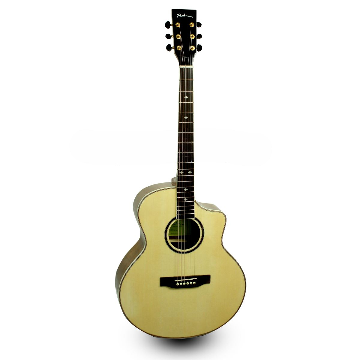 Đàn Guitar Acoustic Poshman X100