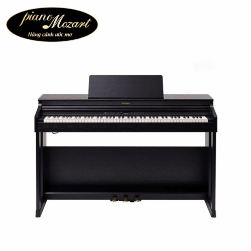 Roland rp701 New